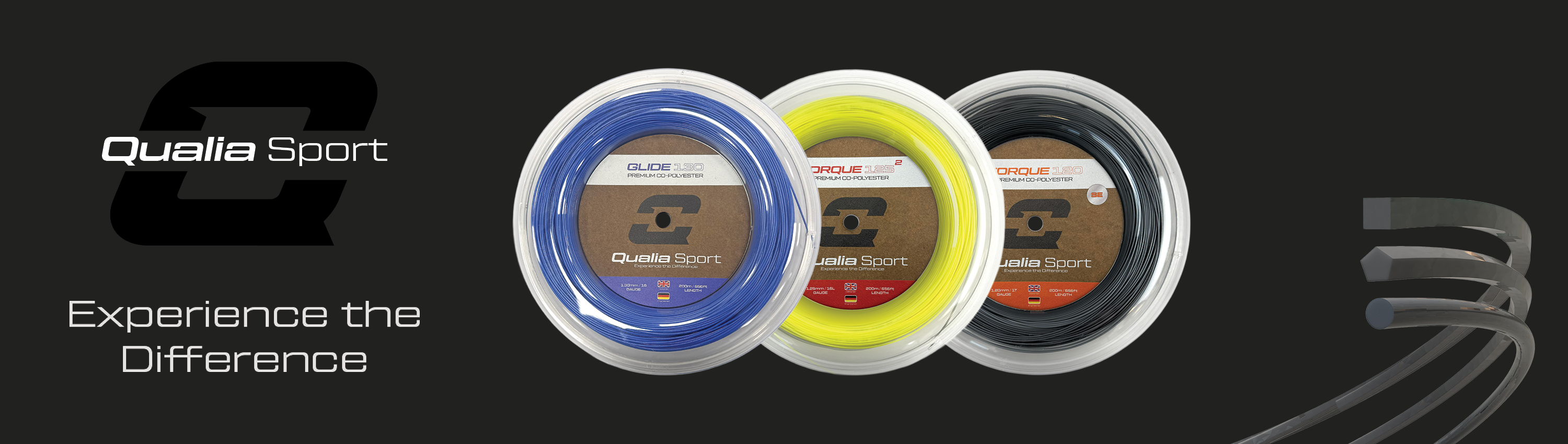 Qualia Strings