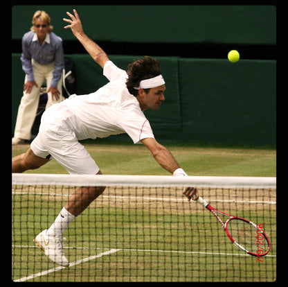 Wilson RF 01 PRO Classic Racket + Cover Bag (FRAME)