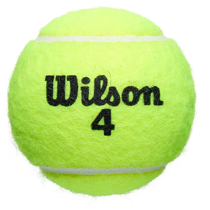 Wilson CLAY Court Roland Garros Balls