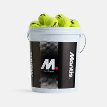 Mantis Team Pressureless Tennis balls